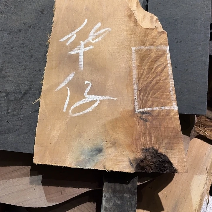 华***仔四川小叶金丝楠原材料