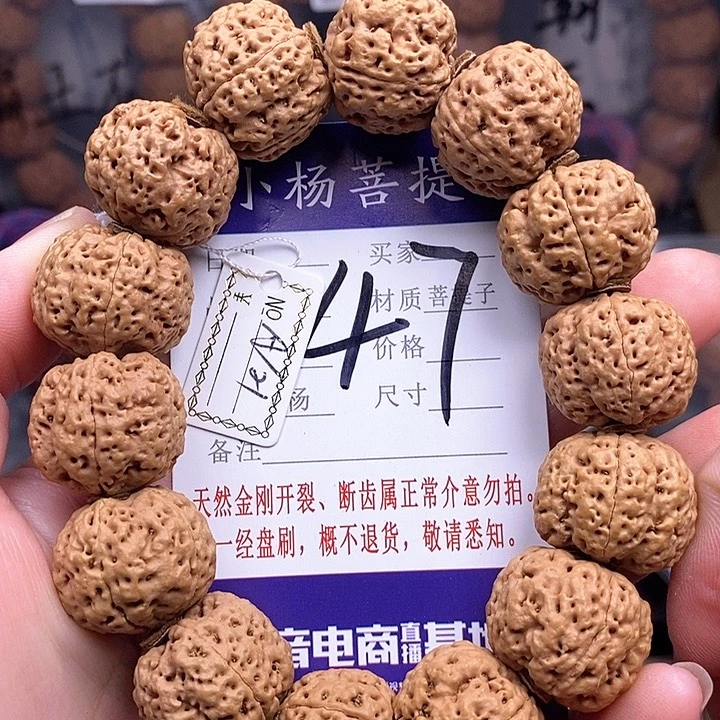 手串金刚菩提21蜂王