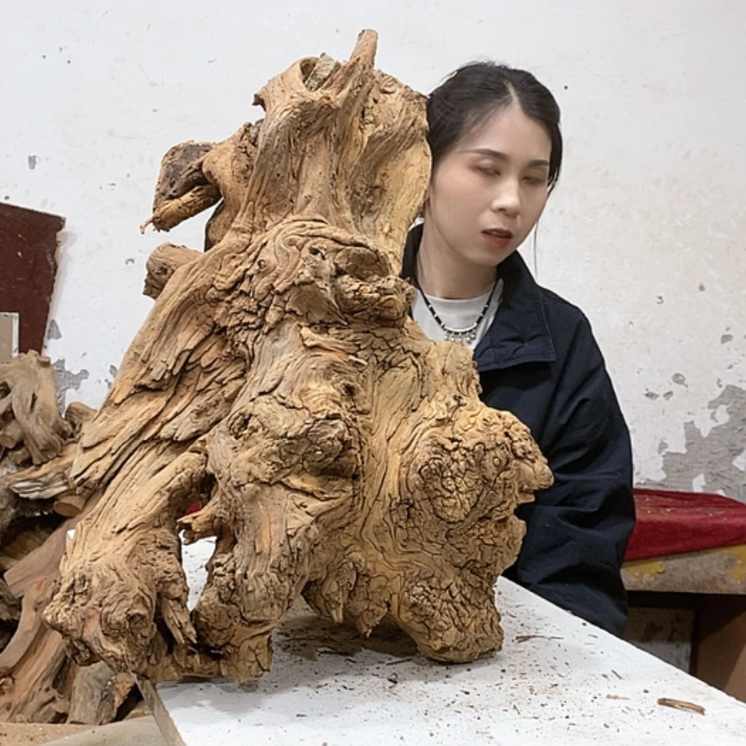 【闪购商品】柏木像**样我们都是好孩子