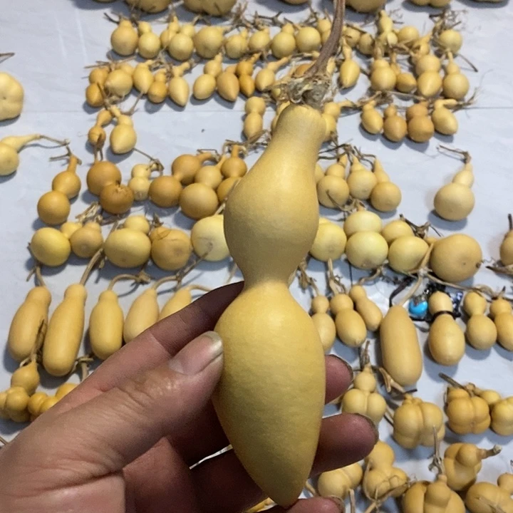葫芦手把件蚂蚁葫芦