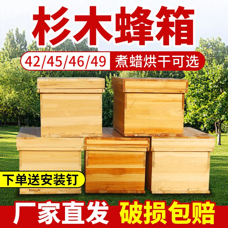 广式中蜂蜂箱1.1厚蜂箱标准中蜂箱土养箱养蜂箱土蜂箱诱蜂箱木箱