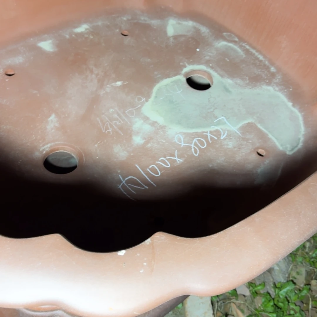 把***己红清水仿古双线海棠