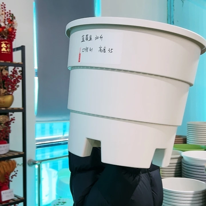 正品蓝莓口41高35白色无托3只