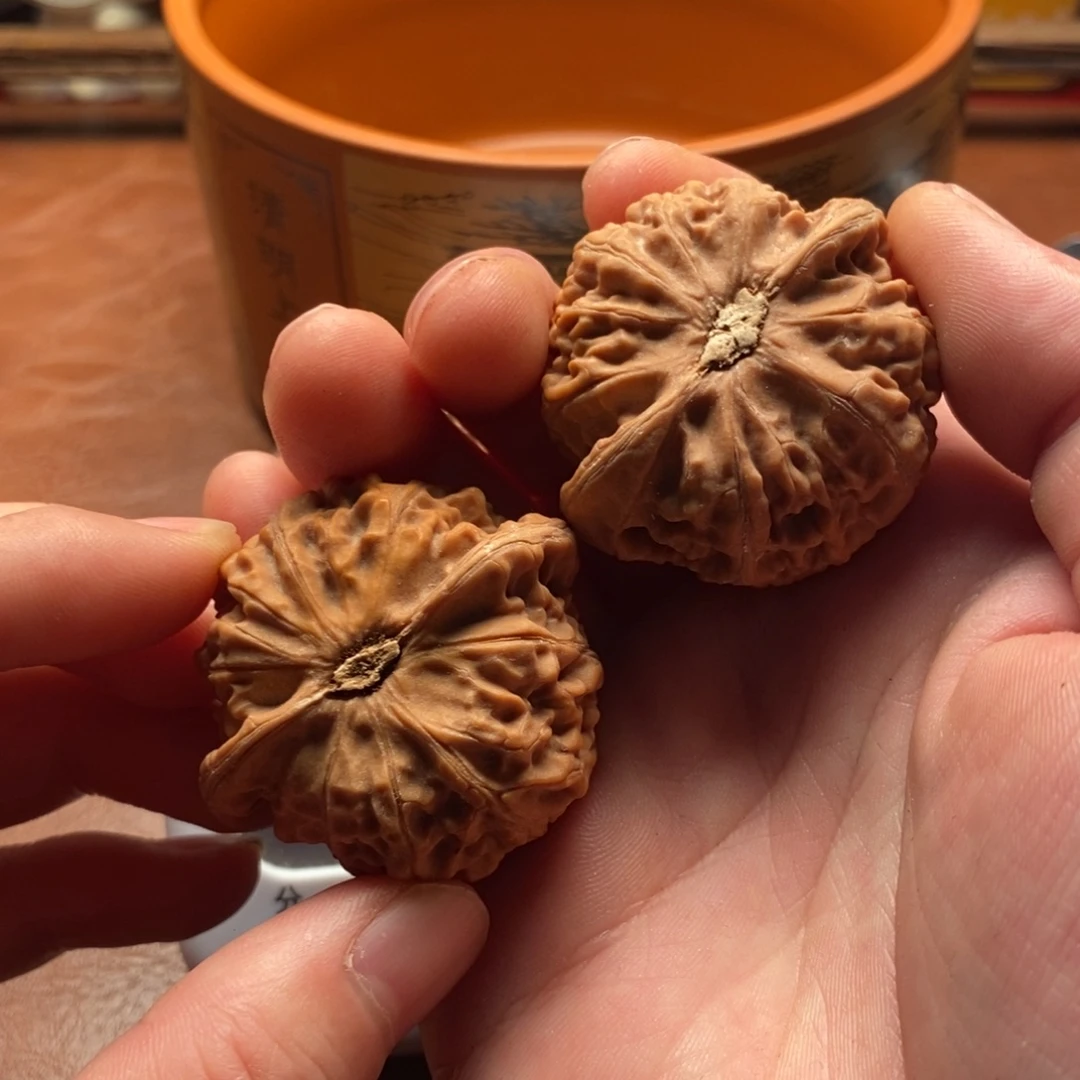 ****乐文玩核桃福利福利