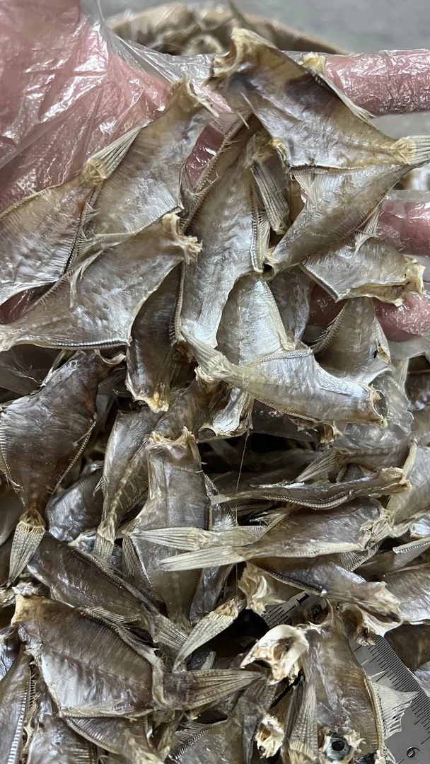 汕尾淡晒迪仔鱼干剥皮鱼干美味海鲜干货