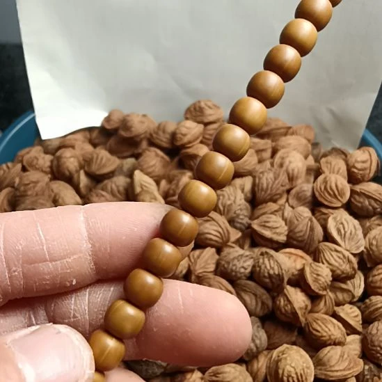 手串桃核猴头手串8+老型