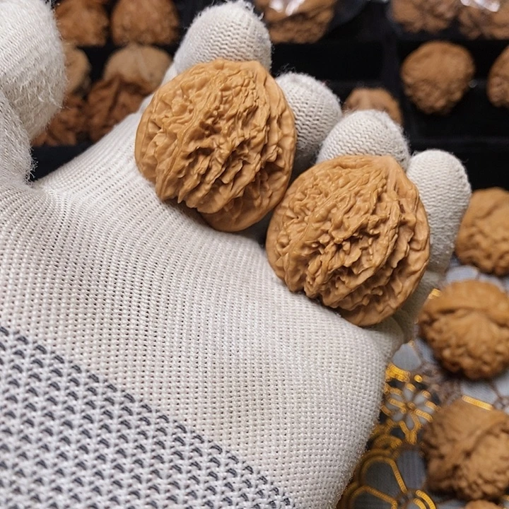 文玩核桃把件用****0秦岭野生二棱