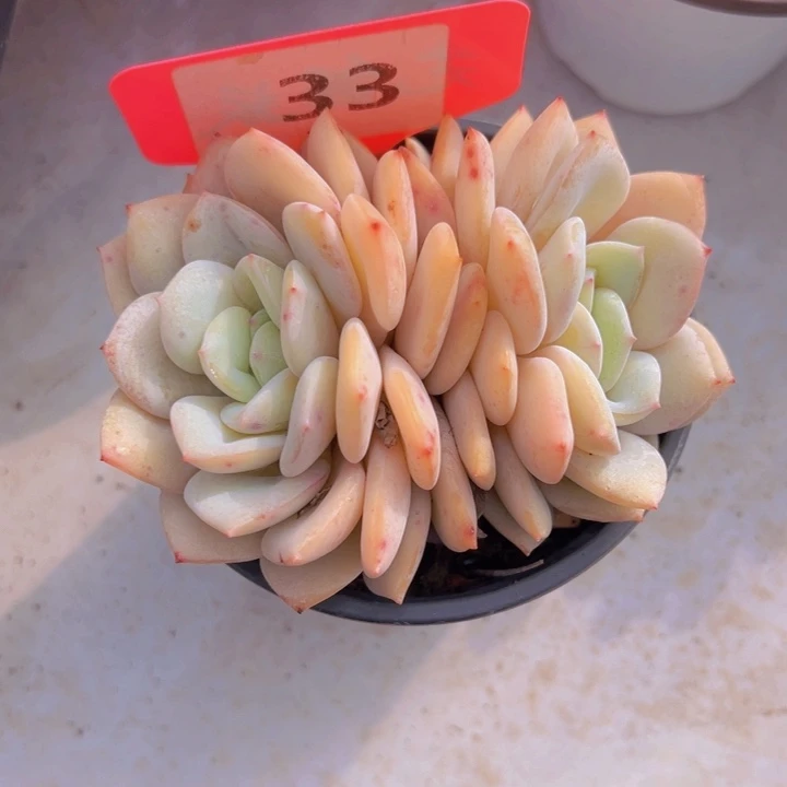 健健康康平平安安