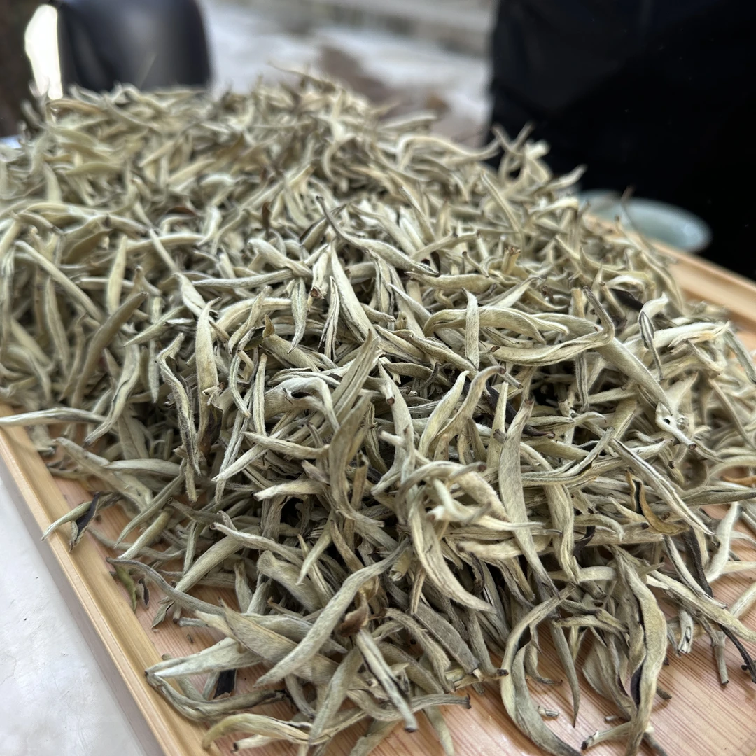 【白毫银针】2024年·普洱白茶‘茶尖'