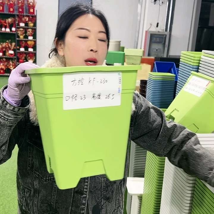 正品方控口23高26.5果绿色5只无托