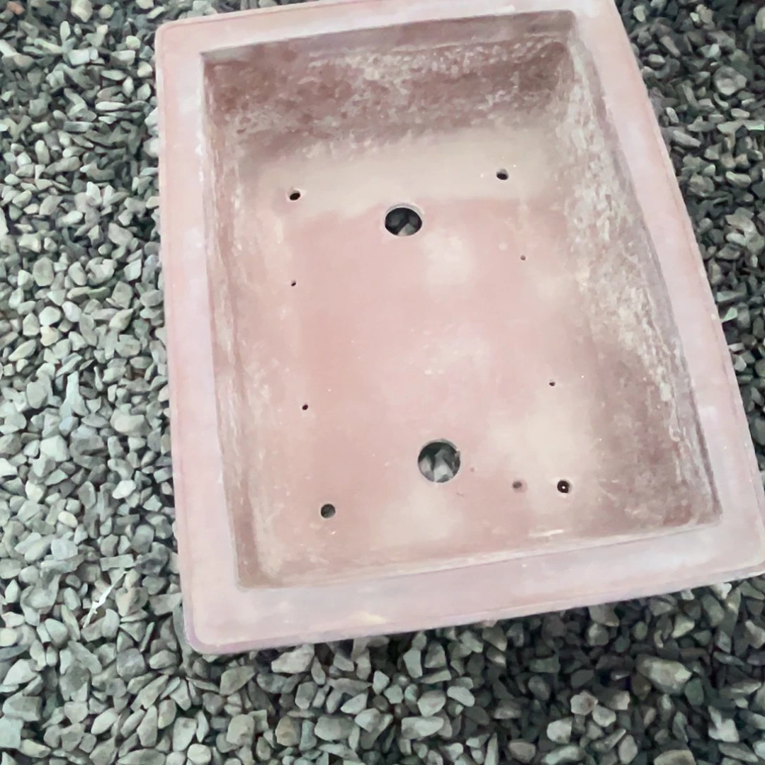 无花朵杂木盆景盆