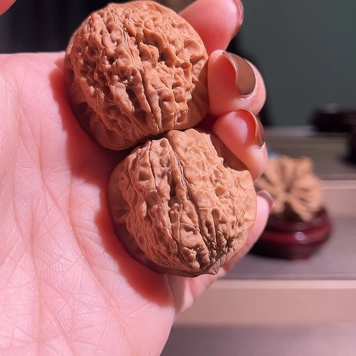 核桃血麒麟全品无休