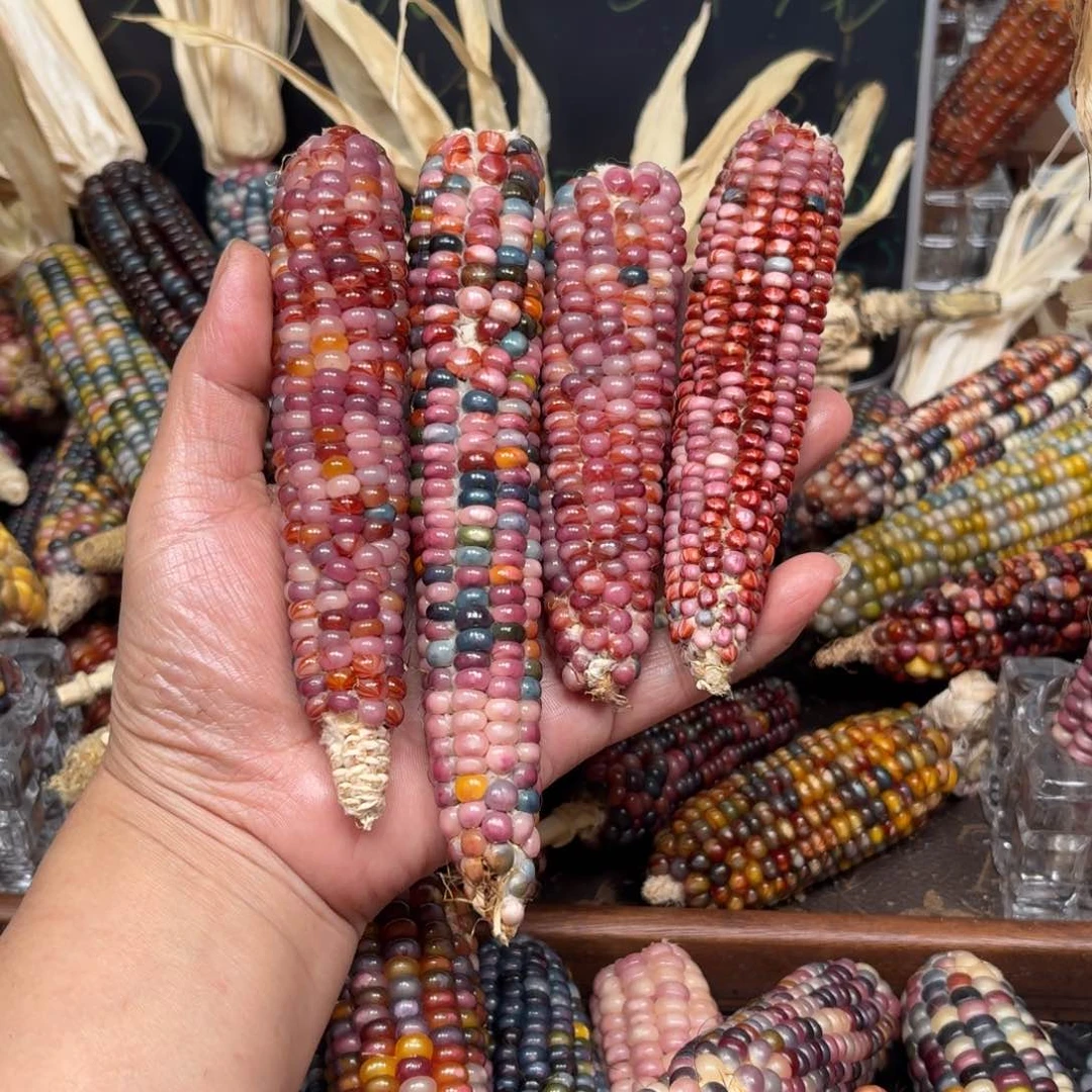 柏香籽/百香籽吊坠一****.