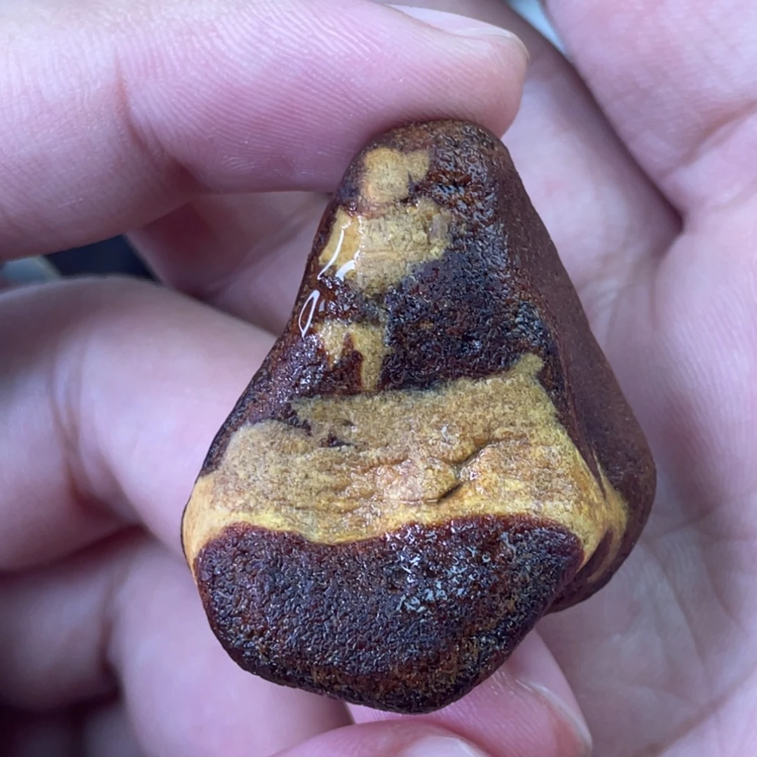 定制琥珀天然琥珀