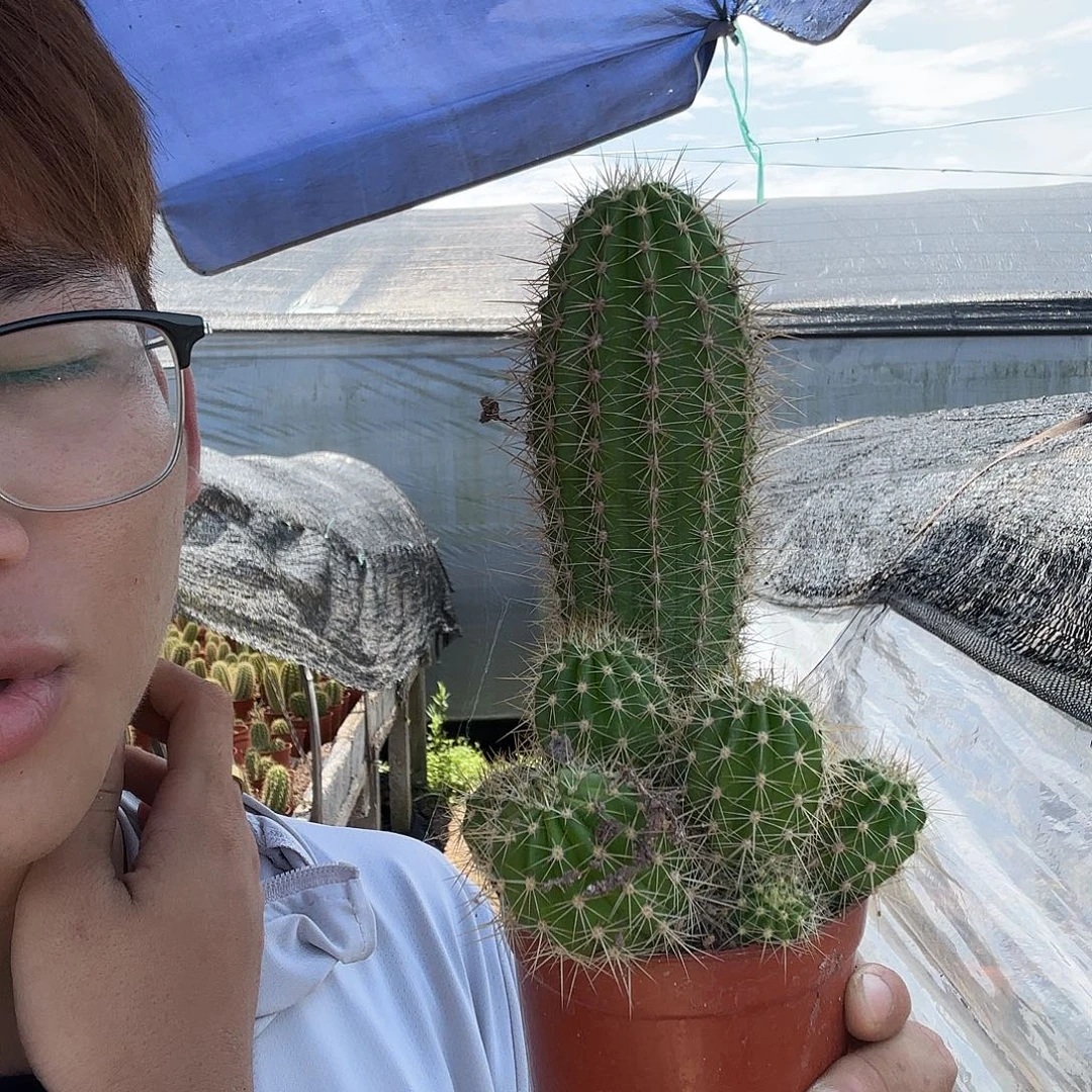 硪***酷无花朵苏乞儿就哈哈哈哈哈哈