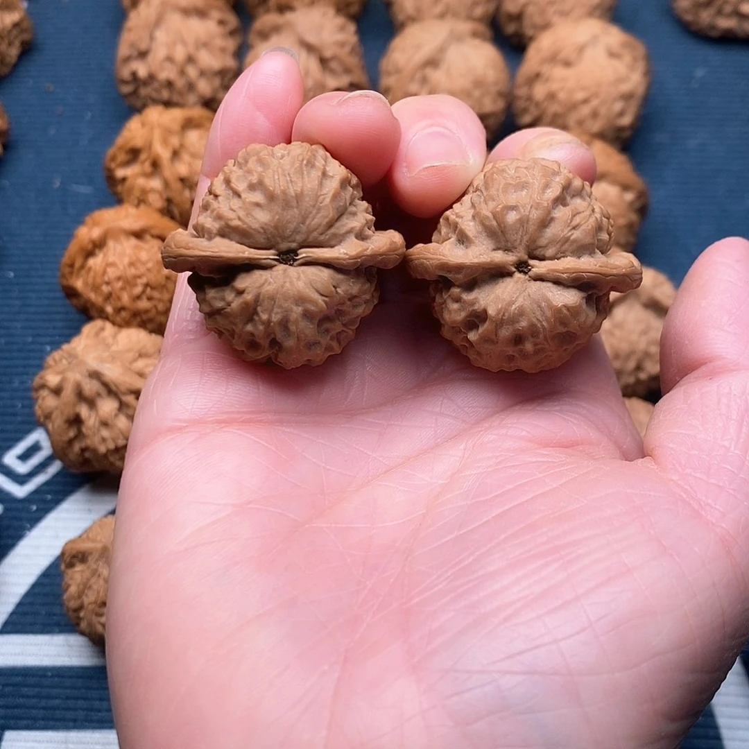 橄榄核手串/手链龙公子36