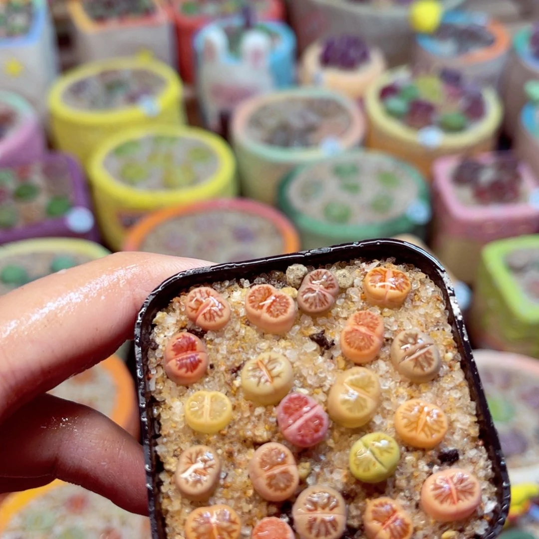 103 888888888888888888