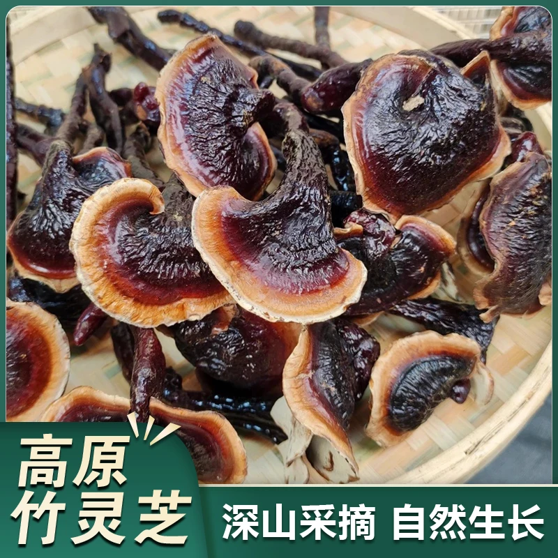 【云南特产】高原下山货竹灵芝 助农山货竹灵芝 煲汤煮茶滋补营养
