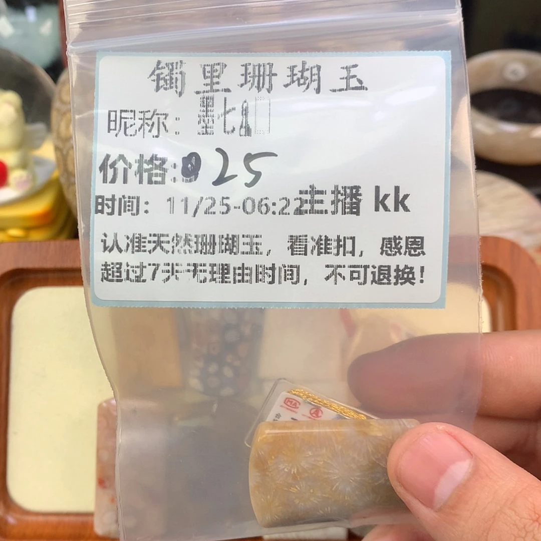 【闪购商品】颈饰未镶嵌硅化珊瑚（珊瑚玉）墨**