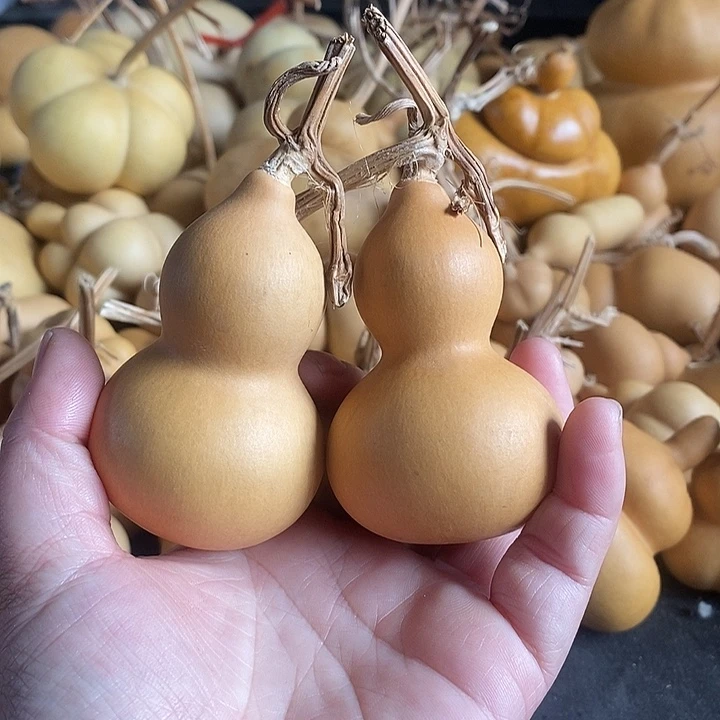 葫芦的颜色很好看