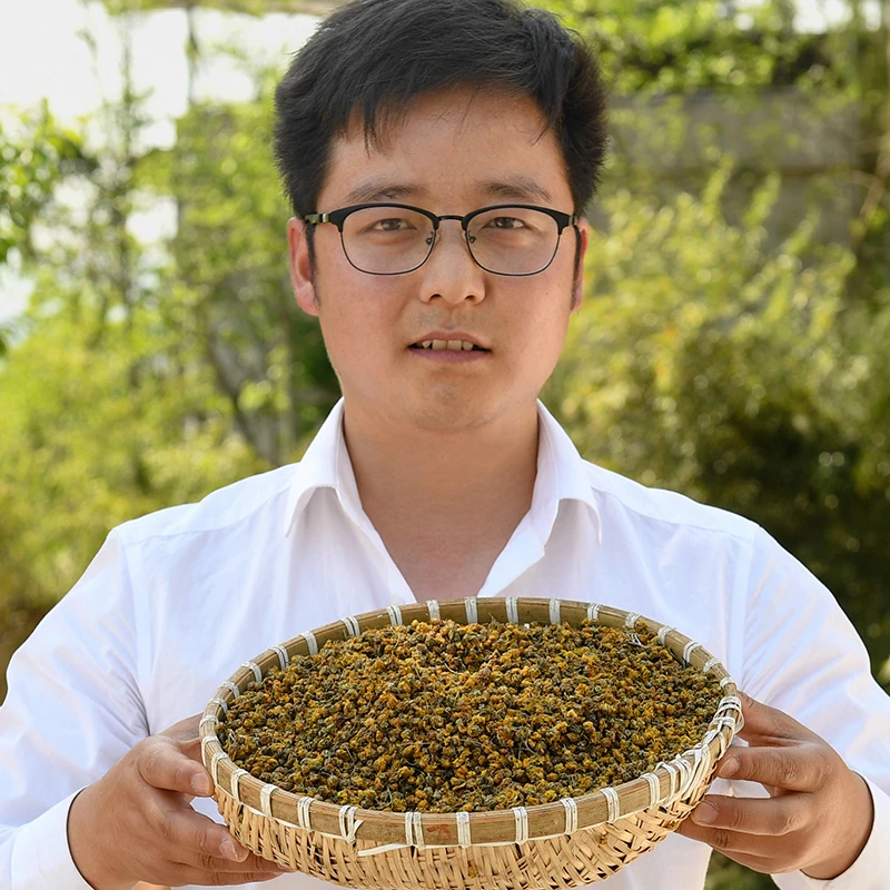 【秋田里】高山农户自采野胎菊自然晒干野菊花手工挑选