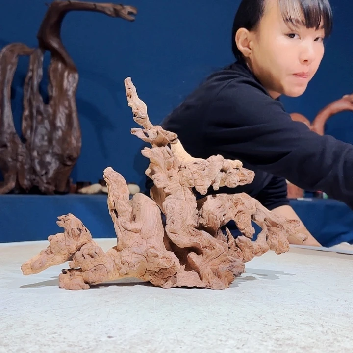 黑果木老*424金丝红木羊蹄甲半成品