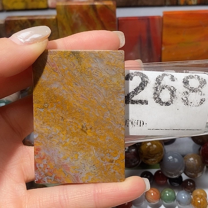 硅化玉未镶嵌天然北票树化玉吊坠