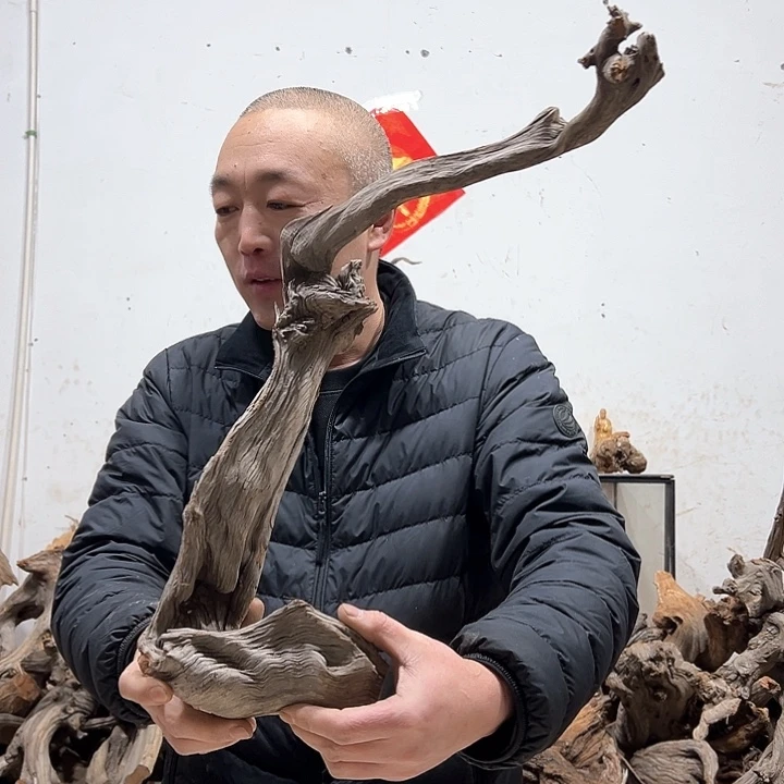 柏木用****8我们的生活是以自己