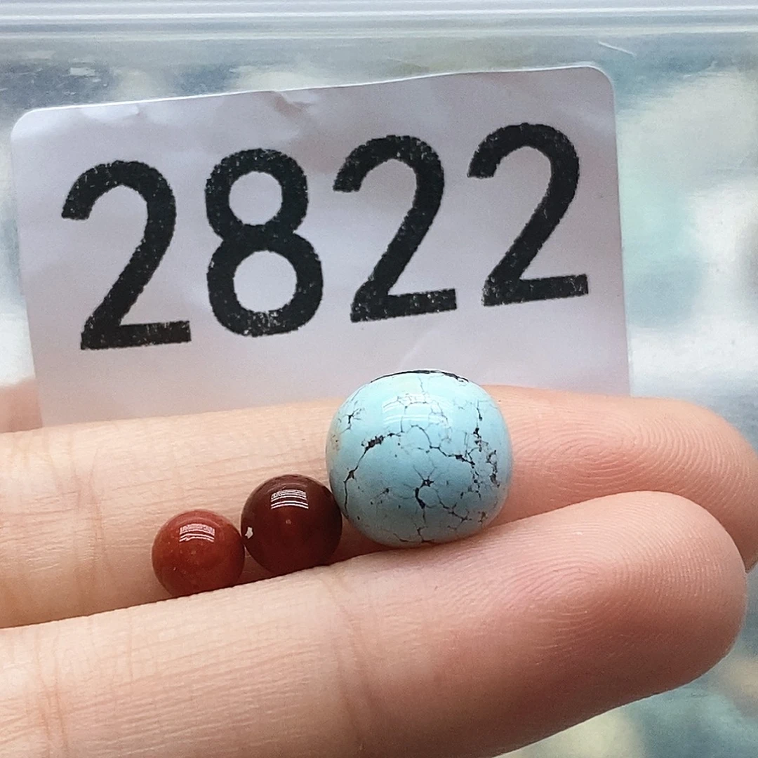 南红玛瑙未镶嵌颈饰