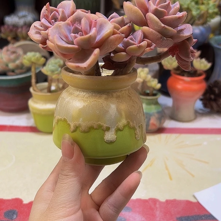 景德镇陶瓷研究所