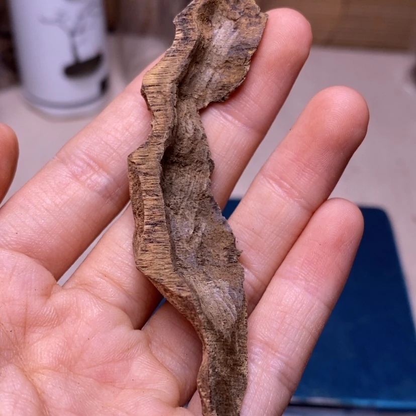 【闪购商品】沉水鸡母虫3.3克