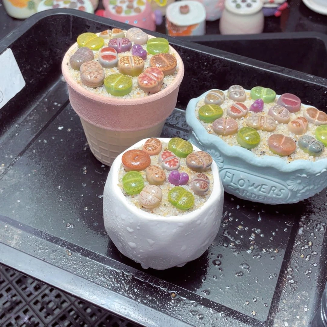 w88888-一份三盆量拍