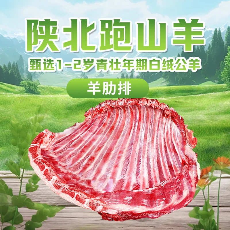 地道陕北跑山羊羊肉   羊排  6斤装