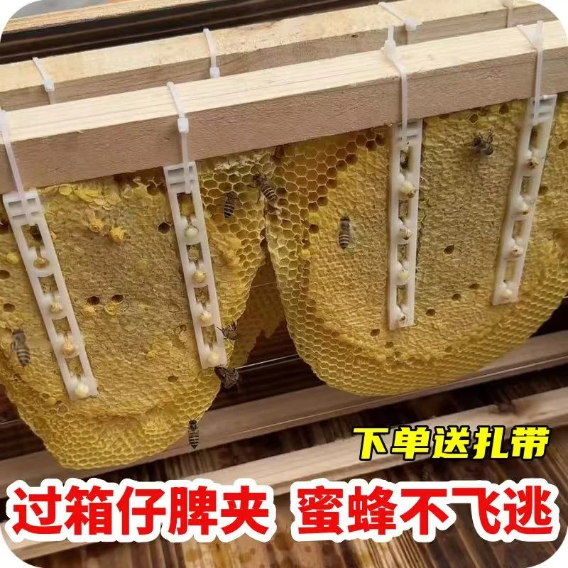 巢脾夹诱蜂专用过箱绑脾蜂脾夹子绑脾塑料蜂脾夹蜜蜂用具野蜂蜂巢