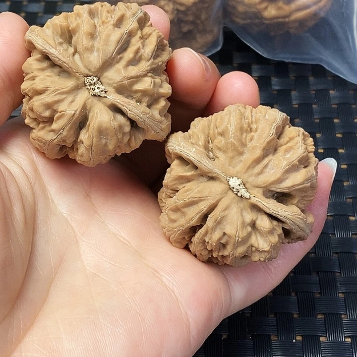 皮***噜吊坠文玩核桃粗筋