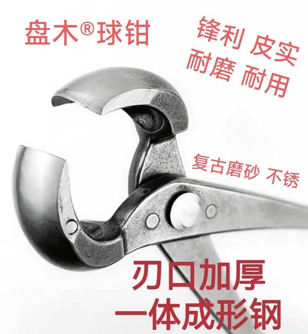 盘木盆景工具：球钳 中号修桩神器 球节钳 盆景伤口处理工具