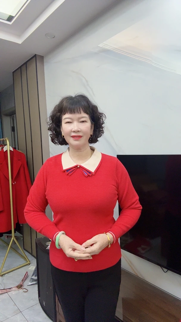 中老年女装翻领毛衣
