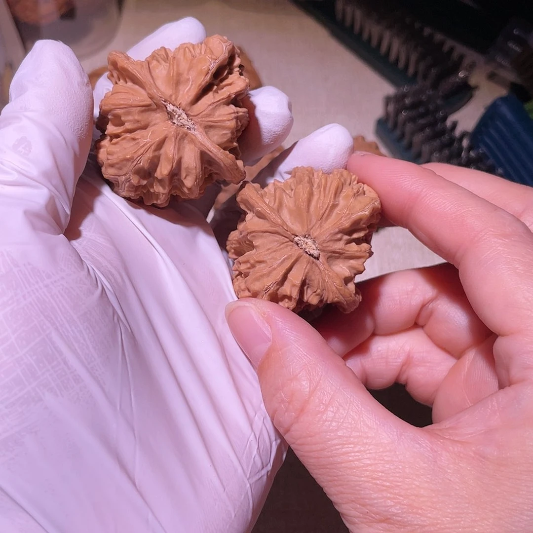 【闪购商品】42马蹄