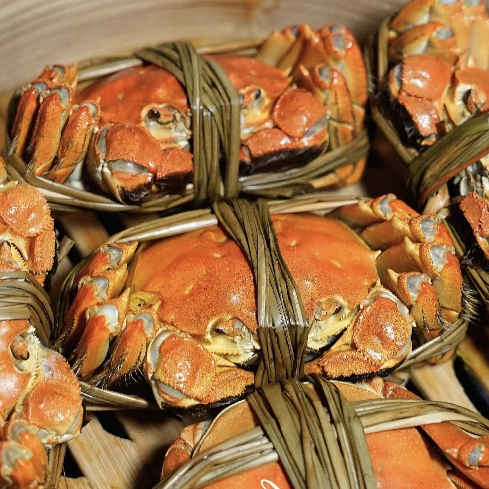 活蟹【江苏大闸蟹】精品全母蟹4.5-4.2两加2只到手8只 礼盒顺丰