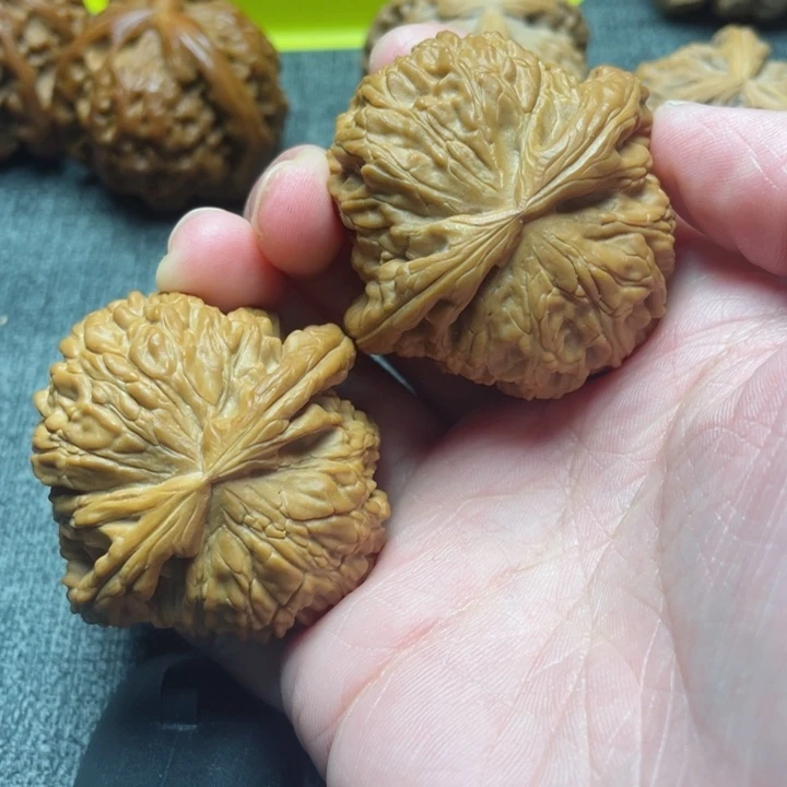 y****f微修的白狮子45尺寸的