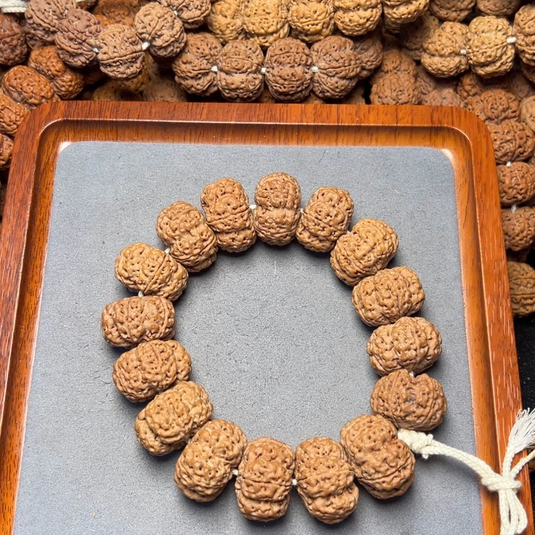 7号尼泊尔大金刚26粗筋梅花夹板梁