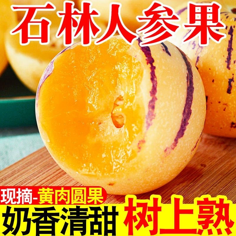 云南石林人参果黄肉果树上自然成熟新鲜清甜多汁应季水果