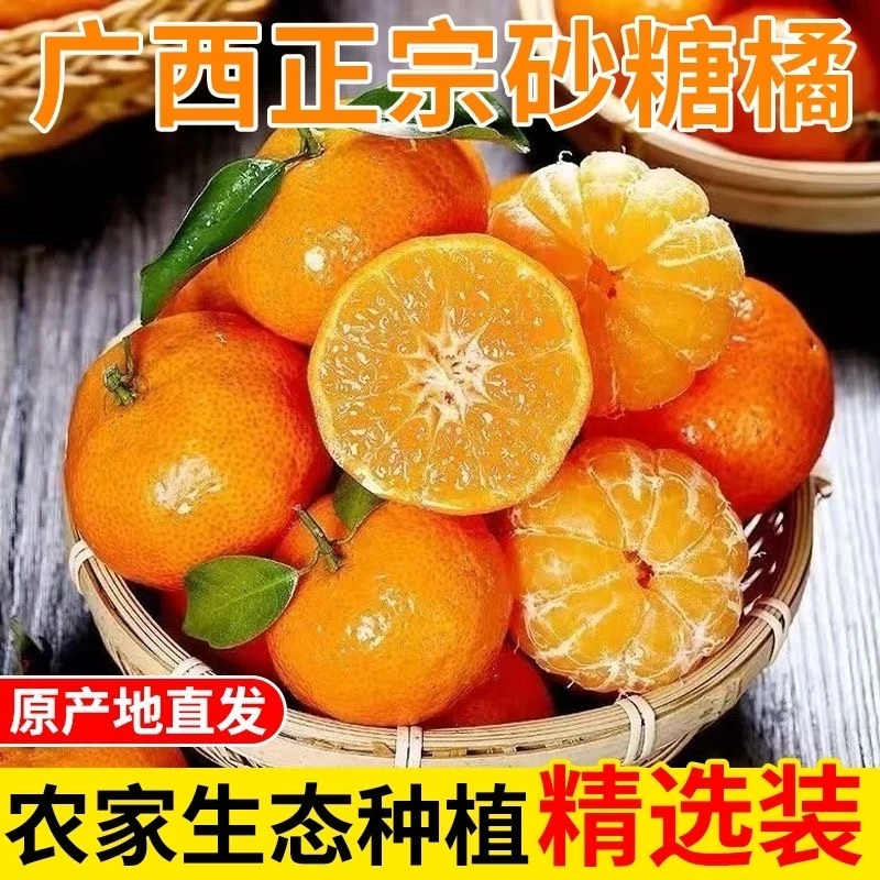 正宗广西砂糖桔】广西梧州超甜好吃橘子新鲜现摘当季水果【快递随机