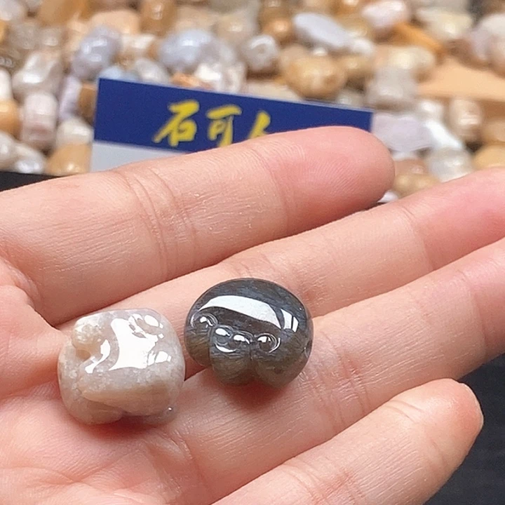 莫***言颈饰未镶嵌硅化珊瑚（珊瑚玉）