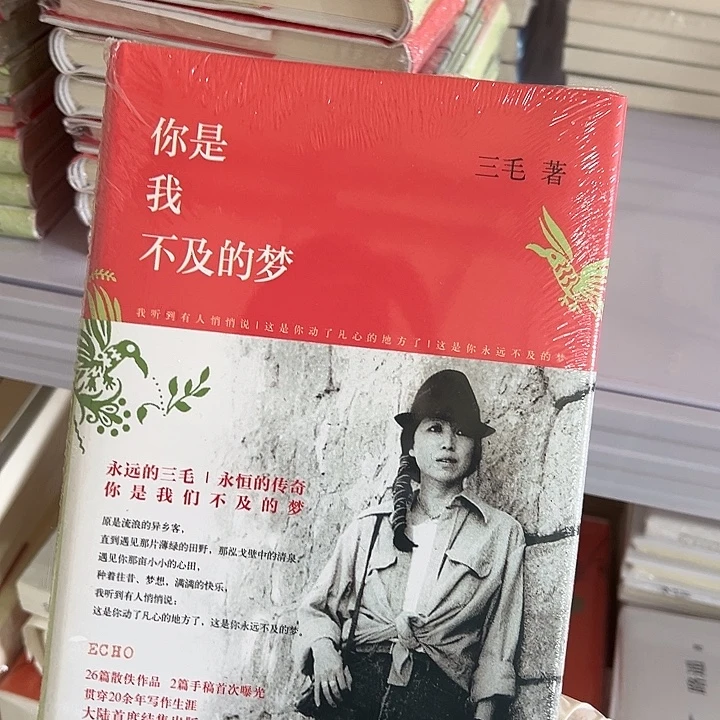你是我不及的梦。 精装带塑封