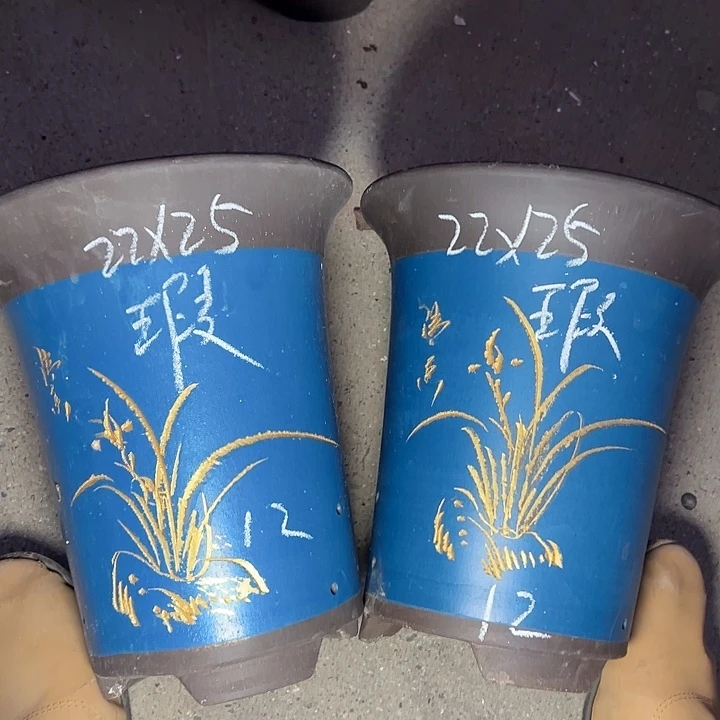 学生真实真实真实