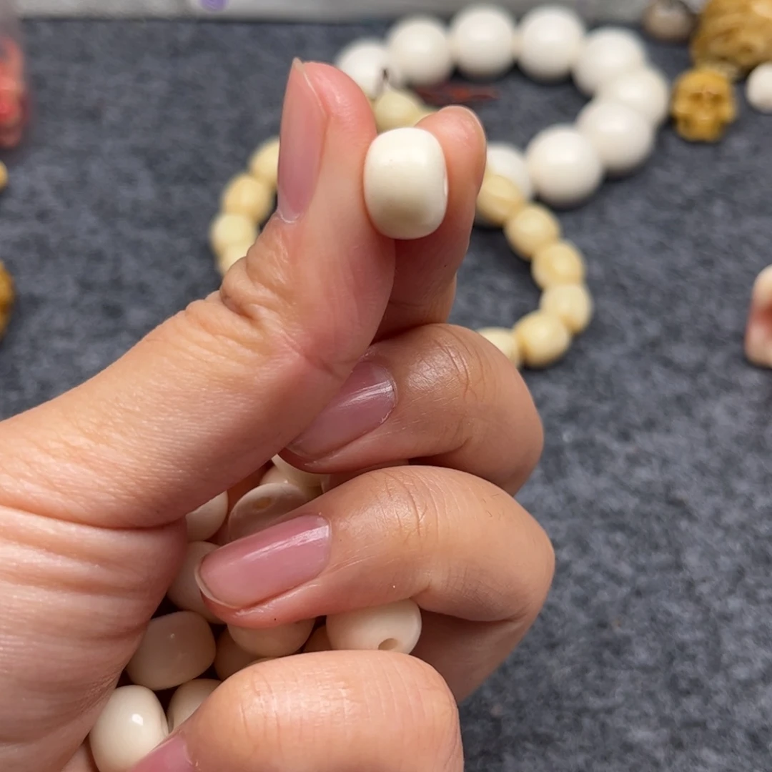 鹿骨其他人工养殖驼骨3