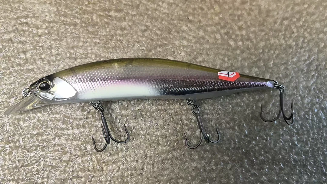 20250215-01 路亚饵