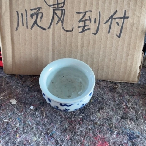 瓷片龙*88888888888888888888