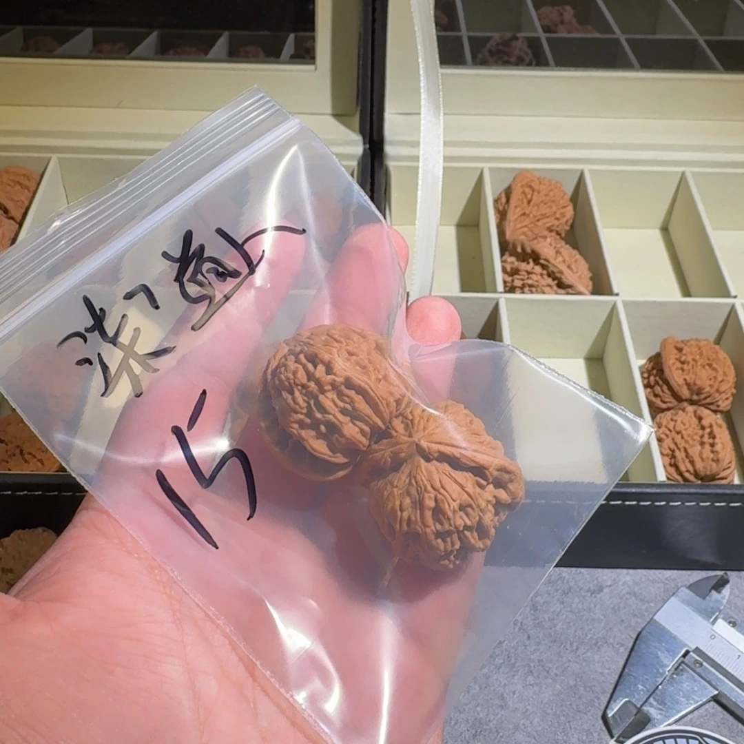 柒***人大叶紫檀（黑酸枝木类）